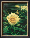 Buy Blooming Cereus with Full Moon at AllPosters.com