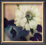 Buy Nature's Blossoms I at AllPosters.com