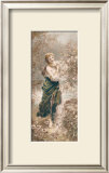 Buy Wild Flowers at AllPosters.com