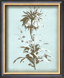 Buy Dussurgey Imperiale on Blue at AllPosters.com