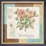 Buy Summer Roses at AllPosters.com