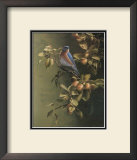 Buy Merle, Bleu at AllPosters.com