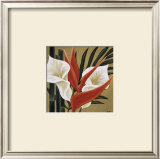 Buy Sun Kissed IV at AllPosters.com