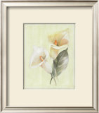 Buy Calla Lily IV at AllPosters.com
