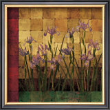 Buy Iris Garden at AllPosters.com