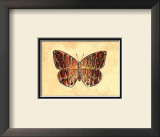 Buy Butterfly I at AllPosters.com
