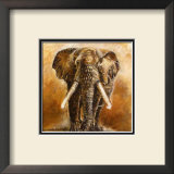 Buy Elephant at AllPosters.com