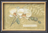 Happiness, Orchid