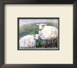 Buy Sheep at AllPosters.com