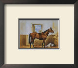 Buy Sea Biscuit at AllPosters.com