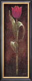 Buy Mystic Tulip Dark Red at AllPosters.com
