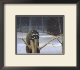 Buy Mischief on a Stump at AllPosters.com
