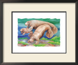 Manatee Family