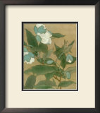 Magnolia and Praying Mantis