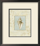 Buy Soothing Words Shells III at AllPosters.com