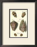 Buy Neptune's Treasure III at AllPosters.com