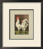 Buy Roosters with Mat VI at AllPosters.com