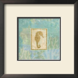 Seahorse I