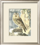 Buy Night Guardian II at AllPosters.com
