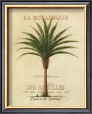 Buy La Botanique at AllPosters.com