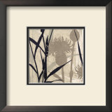 Buy Botanical Elements III at AllPosters.com