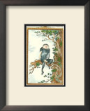 Buy Monkey, Douc at AllPosters.com