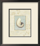 Buy Soothing Words Shells II at AllPosters.com