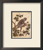 Buy Monkey in a Tree I at AllPosters.com
