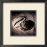 Buy Cowrie at AllPosters.com