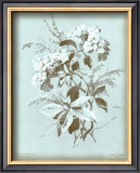 Dussurgey Hydrangea on Blue