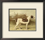 Buy Pointer at AllPosters.com