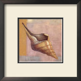 Buy Small Snail at AllPosters.com