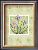 Buy Petunias at AllPosters.com