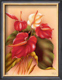 Buy Red and White Anthuriums at AllPosters.com