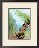 Seahorse Serenade IV