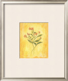 Buy Country Flowers II at AllPosters.com