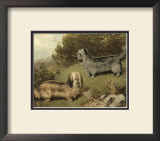 Buy Terriers at AllPosters.com