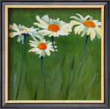 Buy White Daisies at AllPosters.com
