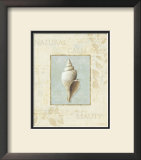 Buy Soothing Words Shells I at AllPosters.com