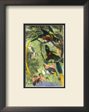 Buy Tropical Birds II at AllPosters.com