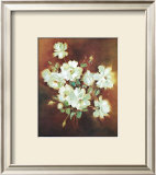 Buy Tender Promise at AllPosters.com