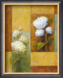 Buy Blue and White Hydrangea at AllPosters.com