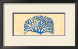 Buy Sapphire Coral at AllPosters.com