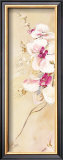 Buy Beaute at AllPosters.com