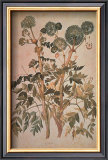 Buy Angelica Arcangelica at AllPosters.com