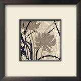 Buy Botanical Elements II at AllPosters.com