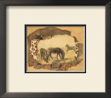 African Odyssey, Zebras