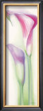 Buy Pink Calla II at AllPosters.com