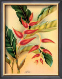 Buy Heliconia at AllPosters.com