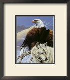 Buy Eagle and Wolf at AllPosters.com